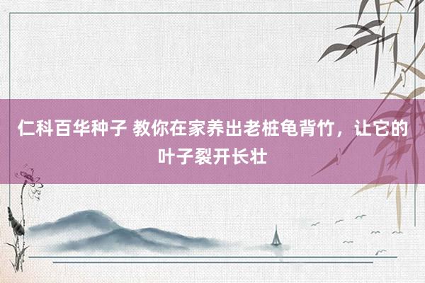 仁科百华种子 教你在家养出老桩龟背竹，让它的叶子裂开长壮