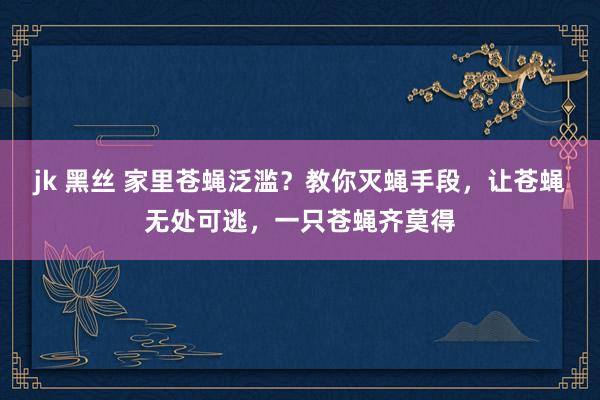 jk 黑丝 家里苍蝇泛滥？教你灭蝇手段，让苍蝇无处可逃，一只苍蝇齐莫得