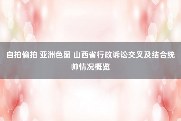 自拍偷拍 亚洲色图 山西省行政诉讼交叉及结合统帅情况概览