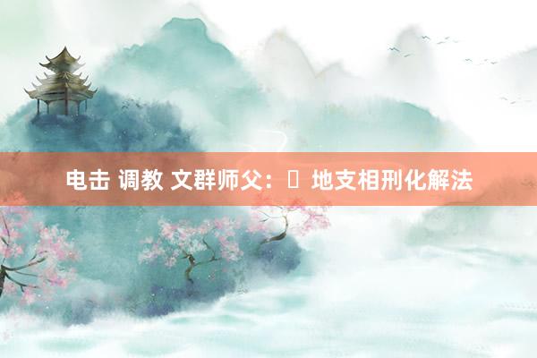 电击 调教 文群师父：​地支相刑化解法