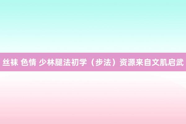 丝袜 色情 少林腿法初学（步法）资源来自文肌启武