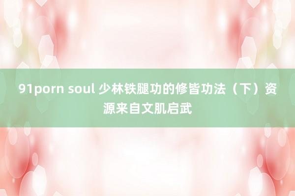 91porn soul 少林铁腿功的修皆功法（下）资源来自文肌启武
