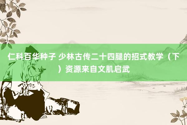 仁科百华种子 少林古传二十四腿的招式教学（下）资源来自文肌启武