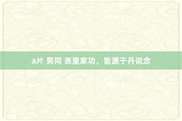 a片 男同 表里家功，皆源于丹说念